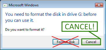 Do You Want To Format?